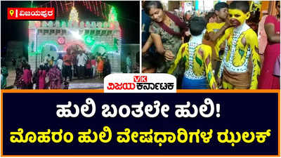 ವಿಜಯಪುರದಲ್ಲಿ ಭಾವೈಕ್ಯತೆಯ ಮೊಹರಂ ಸಂಭ್ರಮ! ಗಮನ ಸೆಳೆಯುತ್ತಿದ್ದಾರೆ ಹುಲಿ ವೇಷಧಾರಿಗಳು!