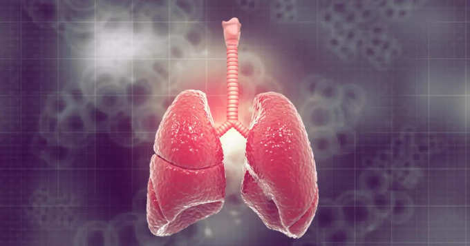 lungs