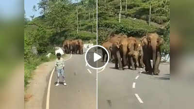 बीच सड़क पर हाथियों के झुंड के साथ ले रहे थे सेल्फी, 20 सेकंड में जान बचाकर भागते दिखे