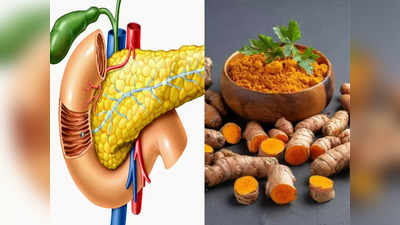 Foods For Healthy Pancreas: डायबिटीज के मरीज ध्यान दें, अग्न्याशय को मजबूत बनाने के लिए खाएं ये 7 चीजें