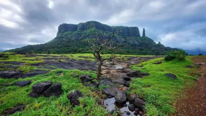 रिव्हर्स वॉटरफॉल