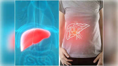 Fatty Liver Symptoms: টেস্ট ছাড়াই বুঝে নিন আপনি আক্রান্ত ঘাতক ফ্যাটি লিভারে! চিকিৎসকের মুখেই জানুন উপসর্গ