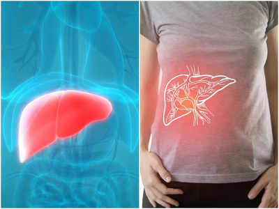 Fatty Liver Symptoms: টেস্ট ছাড়াই বুঝে নিন আপনি আক্রান্ত ঘাতক ফ্যাটি লিভারে! চিকিৎসকের মুখেই জানুন উপসর্গ