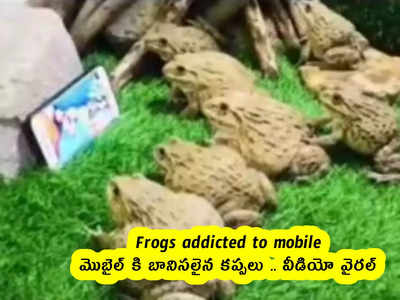 Frogs addicted to mobile : మొబైల్ కి బానిసలైన కప్పలు .. వీడియో వైరల్