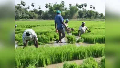 விவசாயிகளுக்கு சூப்பர் அறிவிப்பு.. 75% மானியத்தில் விவசாய கருவி!