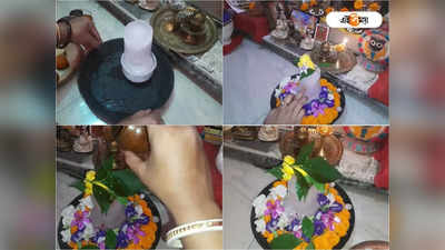 Sawan Somwar 2022: অমরনাথ মন্দিরে যাওয়া হয়নি, বাড়িতেই বরফের শিব বানিয়ে পুজো সঙ্গীতার