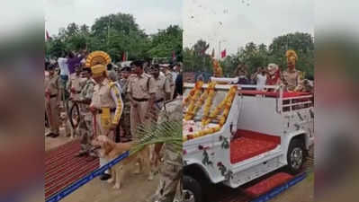 চাকরি জীবন থেকে অবসর কুকুরের! ভাইরাল জাঁকজমকপূর্ণ সংবর্ধনার ভিডিয়ো