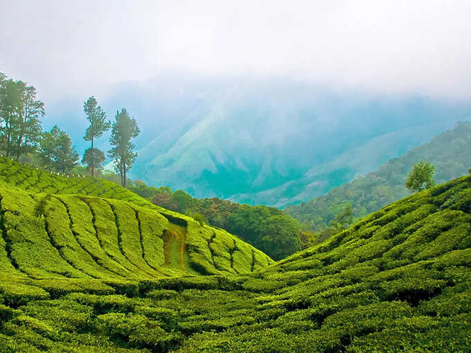 മൂന്നാര്‍, കേരളം