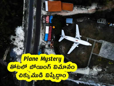 Plane Mystery : తోటలో బోయింగ్ విమానం .. చిక్కుముడి విప్పేద్దాం