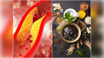 Ayurvedic Remedies For Cholesterol: আয়ুর্বেদিক উপায়ে সহজেই শরীর থেকে বেরিয়ে যায় খারাপ কোলেস্টেরল! জানুন চিকিৎসকের মুখেই