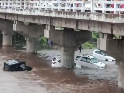 Shocking Video: एक-दोन नव्हे तर तब्बल १४ महागड्या गाड्या पाण्यात तरंगल्या, सत्य समोर येताच सगळे हादरले