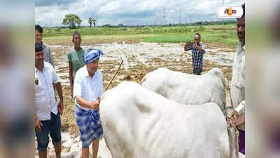 Pradip Mazumdar: পরনে গামছা, হাতে লাঙল! রাজ্যের মন্ত্রীর কাণ্ড দেখে আপ্লুত কাঁকসার কৃষকরা