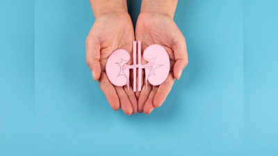 Kidney health tips: ఇవి తింటే.. కిడ్నీలు దెబ్బతింటాయి జాగ్రత్త..!