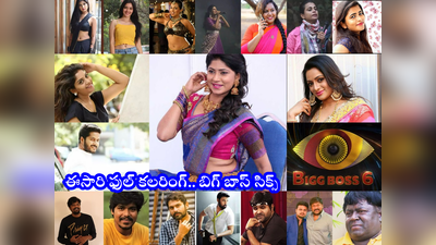 Bigg Boss 6 Telugu Contestants: బిగ్ బాస్‌లో ఈసారి ఫుల్ కలరింగ్.. 10 మంది అందమైన భామలు.. ఫుల్ లిస్ట్ ఇదే