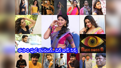 Bigg Boss 6 Telugu Contestants: బిగ్ బాస్‌లో ఈసారి ఫుల్ కలరింగ్.. 10 మంది అందమైన భామలు.. ఫుల్ లిస్ట్ ఇదే 