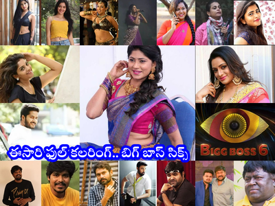 Bigg Boss 6 Telugu Contestants: బిగ్ బాస్‌లో ఈసారి ఫుల్ కలరింగ్.. 10 మంది అందమైన భామలు.. ఫుల్ లిస్ట్ ఇదే