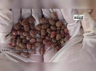 முதுமக்கள் தாழிக்குள் பவள மணிகள்; ஆச்சரியத்தில் ஆராய்சியாளர்கள்!