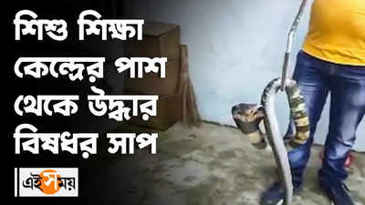 শিশু শিক্ষা কেন্দ্রের পাশ থেকে উদ্ধার বিষধর সাপ