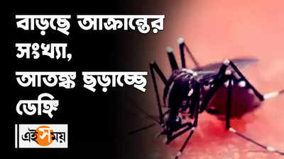 বাড়ছে আক্রান্তের সংখ্যা, আতঙ্ক ছড়াচ্ছে ডেঙ্গি