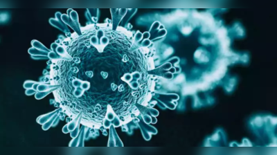 Langya Virus China: Coronavirus બાદ ચીનમાંથી મળ્યો વધુ એક ખતરનાક Langya virus, 35 લોકો થયા સંક્રમિત