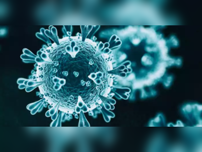 Langya Virus China: Coronavirus બાદ ચીનમાંથી મળ્યો વધુ એક ખતરનાક Langya virus, 35 લોકો થયા સંક્રમિત 