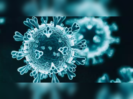 Langya Virus China: Coronavirus બાદ ચીનમાંથી મળ્યો વધુ એક ખતરનાક Langya virus, 35 લોકો થયા સંક્રમિત 