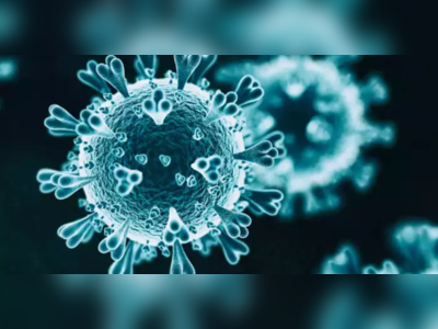Langya Virus China: Coronavirus બાદ ચીનમાંથી મળ્યો વધુ એક ખતરનાક Langya virus, 35 લોકો થયા સંક્રમિત