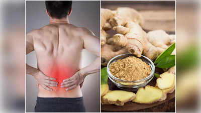 Home Remedies to Remove Body Pain: মিনিটে দূর হবে ব্যথা, কাটবে ক্লান্তি! এই ঘরোয়া উপায় মেনে চলুন