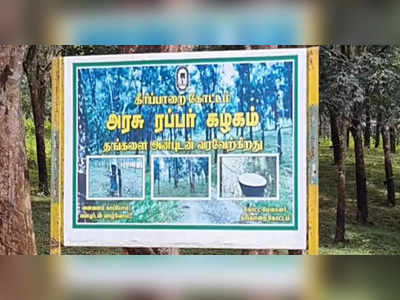 அரசு ரப்பர் தோட்ட தொழிலாளர்கள் வேலை நிறுத்தம்; ரப்பர் பால் வெட்டும் பணி முற்றிலும் பாதிப்பு.. பல லட்சம் ரூபாய் வருவாய் இழப்பு!