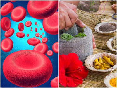 Ayurvedic Remedies of Anemia: আয়ুর্বেদিক উপায়েই নিমেষে শরীরে রক্ত বাড়বে কয়েক গুণ! অ্যানিমিয়া দূরে রাখতে চিকিৎসকের পরামর্শ জানুন