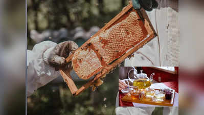 Viral: এক ফোঁটা মধুতেই ঘায়েল শত্রু! জানুন নেপালের ‘Mad Honey’র রহস্য