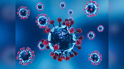 કોરોના-મન્કીપોક્સની વચ્ચે જીવલેણ Langya virusની એન્ટ્રી, લિવર-કિડનીને જોખમ; જાણો 12 લક્ષણો