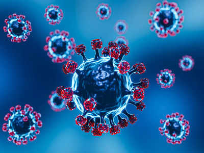 કોરોના-મન્કીપોક્સની વચ્ચે જીવલેણ Langya virusની એન્ટ્રી, લિવર-કિડનીને જોખમ; જાણો 12 લક્ષણો