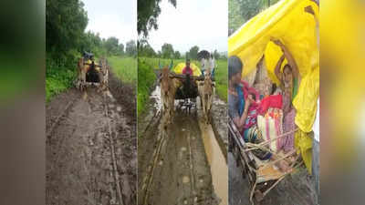 गावात रस्ताच नाही, प्रसूतीसाठी बैलगाडीतून रुग्णालय गाठलं, महिला म्हणाल्या - मुख्यमंत्री साहेब इकडेही लक्ष द्या