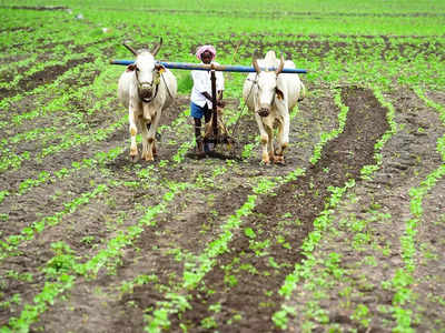 Crop Insurance: ಬಳ್ಳಾರಿಯಲ್ಲಿ ಬೆಳೆ ವಿಮೆ ನೋಂದಣಿ ಹೆಚ್ಚಳ: ಆದ್ರೆ.. ಹಿಂಗಾರು ಬೆಳೆ ವಿಮೆ ಪರಿಹಾರವೇ ಸಿಕ್ಕಿಲ್ಲ..?