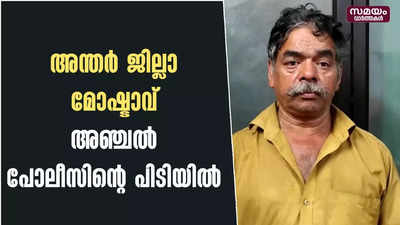 അന്തർ ജില്ലാ മോഷ്ടാവ് അഞ്ചൽ പോലീസിൻ്റെ പിടിയിൽ