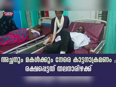 അച്ഛനും മകൾക്കും നേരെ കാട്ടനാക്രമണം ; രക്ഷപ്പെട്ടത് തലനാരിഴക്ക് 