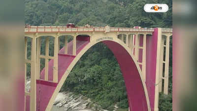 Sevoke Coronation Bridge: করোনেশন সেতু থেকে ঝাঁপ মেডিক্যাল পড়ুয়ার, ছাত্রের খোজে তল্লাশি উদ্ধারকারী দলের