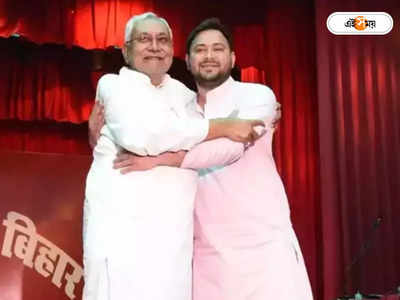 Bihar CM Nitish Kumar: ২৪-এ ফিরতে পারবেন মোদী? খোঁচা নীতীশের