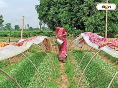 Birbhum News: পাকা বাড়ি বিলিয়ে টিনের ঘরে বাস মালতীর