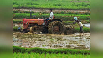 Raitha Shakti Scheme: ಸಹಾಯಧನ ಪಡೆಯಲು ಸರ್ವೆ ನಂಬರ್‌ ಫ್ರೂಟ್ಸ್‌ನಲ್ಲಿ ನೊಂದಾಯಿಸಿ!