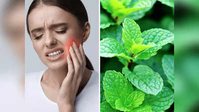 Toothache Home Remedies: मुंह में रखते ही दांत का दर्द चूस लेती हैं ये 5 चीजें, तुरंत मिलेगा आराम