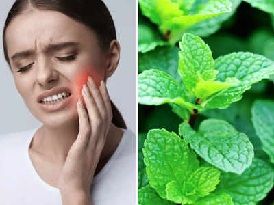 Toothache Home Remedies: मुंह में रखते ही दांत का दर्द चूस लेती हैं ये 5 चीजें, तुरंत मिलेगा आराम