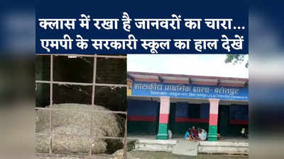 MP Government School: छतरपुर में यह स्कूल है या तबेला, क्लासरूम में बच्चों की जगह जानवरों का चारा