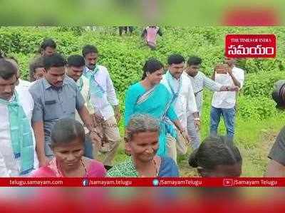 కొడంగల్‌ నియోజకవర్గంలో షర్మిల పాదయాత్ర.. వరినాట్లు వేసిన రాజన్న బిడ్డ