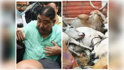 Cattle smuggling case: మమతా బెనర్జీకి మరో దెబ్బ... టీఎంసీ సీనియ‌ర్ నేత అరెస్ట్‌ 