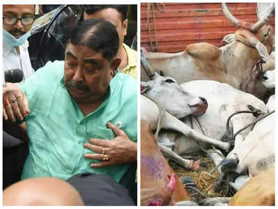 Cattle smuggling case: మమతా బెనర్జీకి మరో దెబ్బ... టీఎంసీ సీనియ‌ర్ నేత అరెస్ట్‌