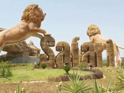 Lion Day पर जेनिफर शेरनी ने दिया शावक को जन्म, इटावा की सफारी में बढ़ रहा बब्बर शेरों का कुनबा