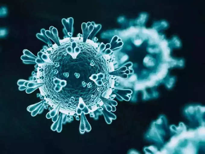 हेनिपाव्हायरस नक्की आहे काय?