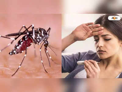 Dengue in Kolkata: হটস্পট, নিয়মিত অভিযানে ডেঙ্গি-ম্যালেরিয়ার মোকাবিলা